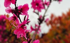 新恋爱时代歌曲